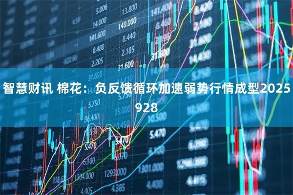 智慧财讯 棉花：负反馈循环加速弱势行情成型2025928