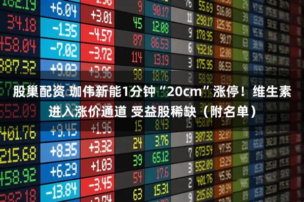 股巢配资 珈伟新能1分钟“20cm”涨停！维生素进入涨价通道 受益股稀缺（附名单）